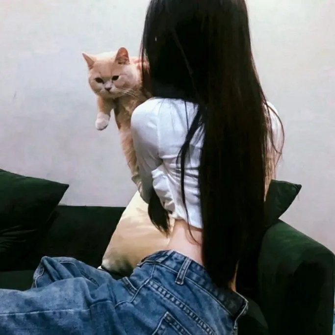 憨姑爷粤语